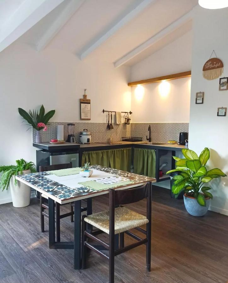 Chilamate Holiday House Puerto Viejo de Talamanca エクステリア 写真