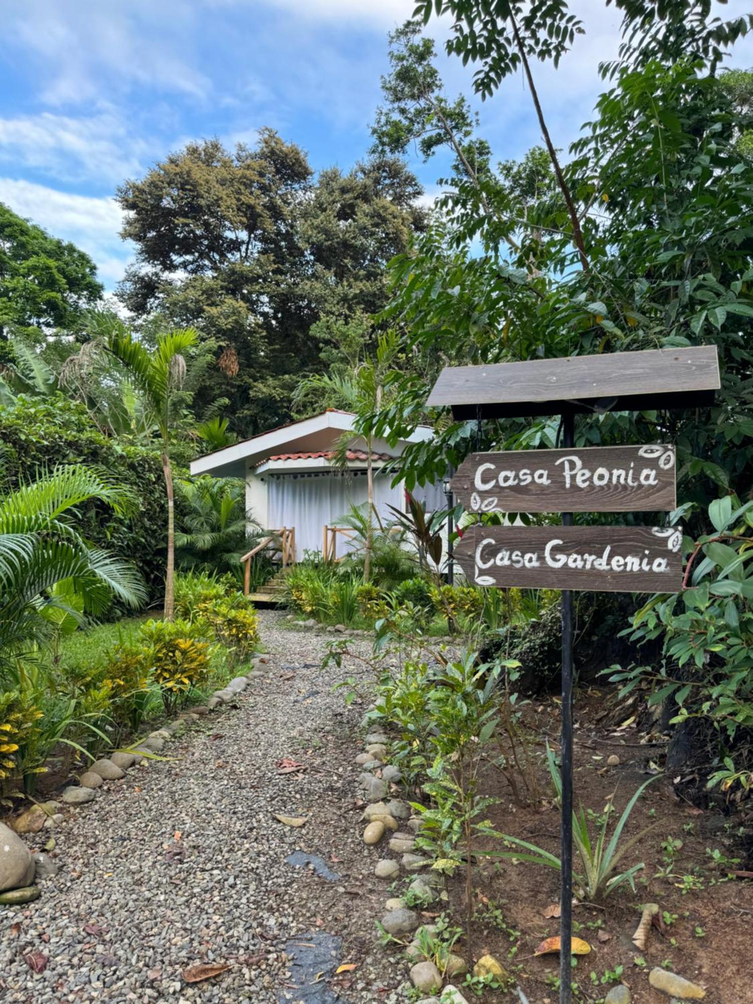 Chilamate Holiday House Puerto Viejo de Talamanca エクステリア 写真