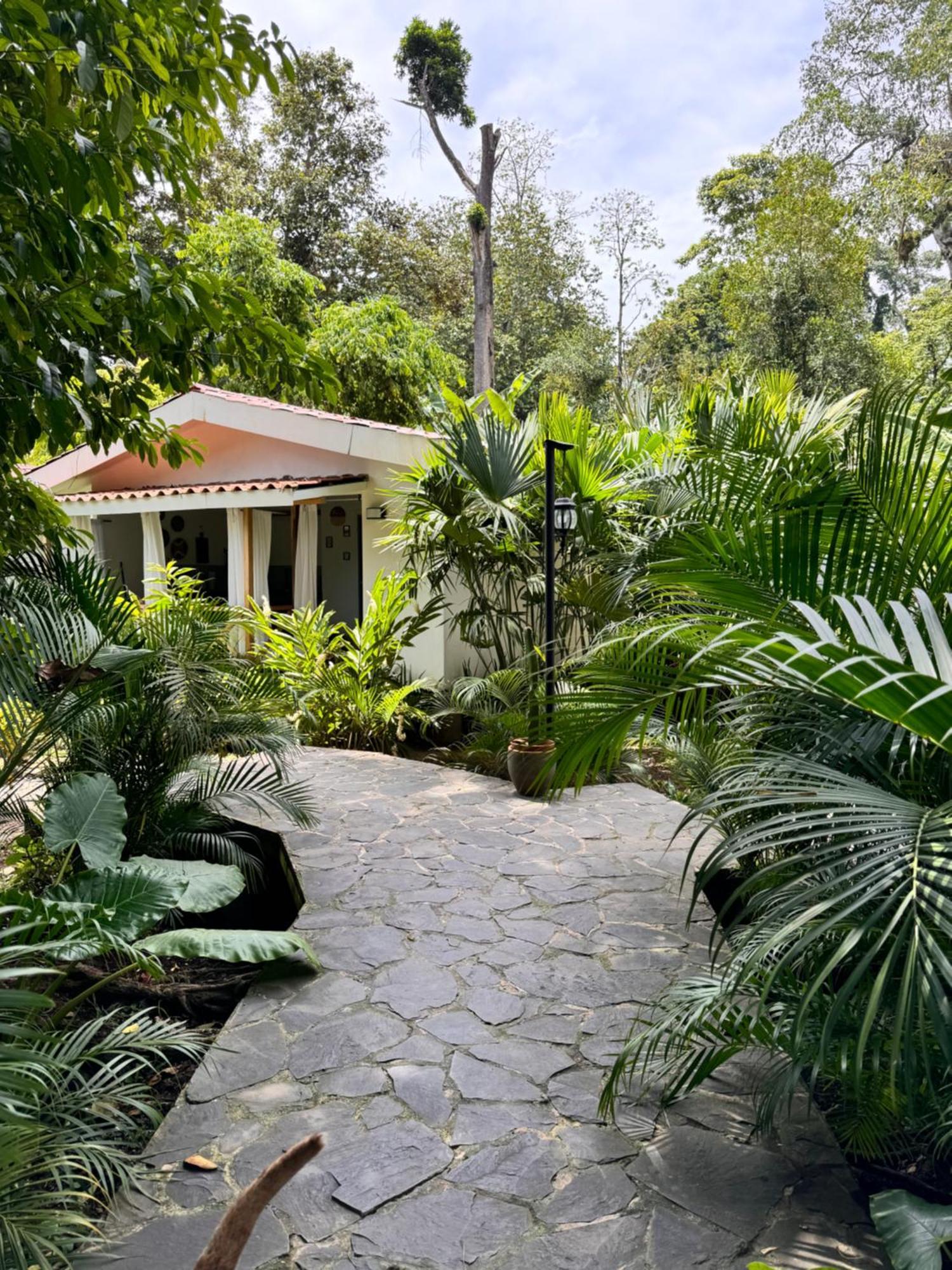 Chilamate Holiday House Puerto Viejo de Talamanca エクステリア 写真