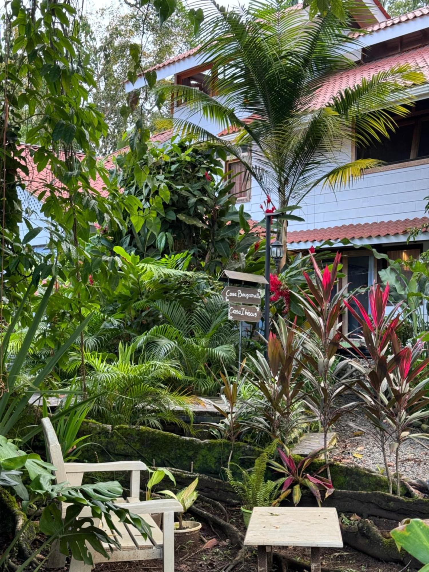 Chilamate Holiday House Puerto Viejo de Talamanca エクステリア 写真
