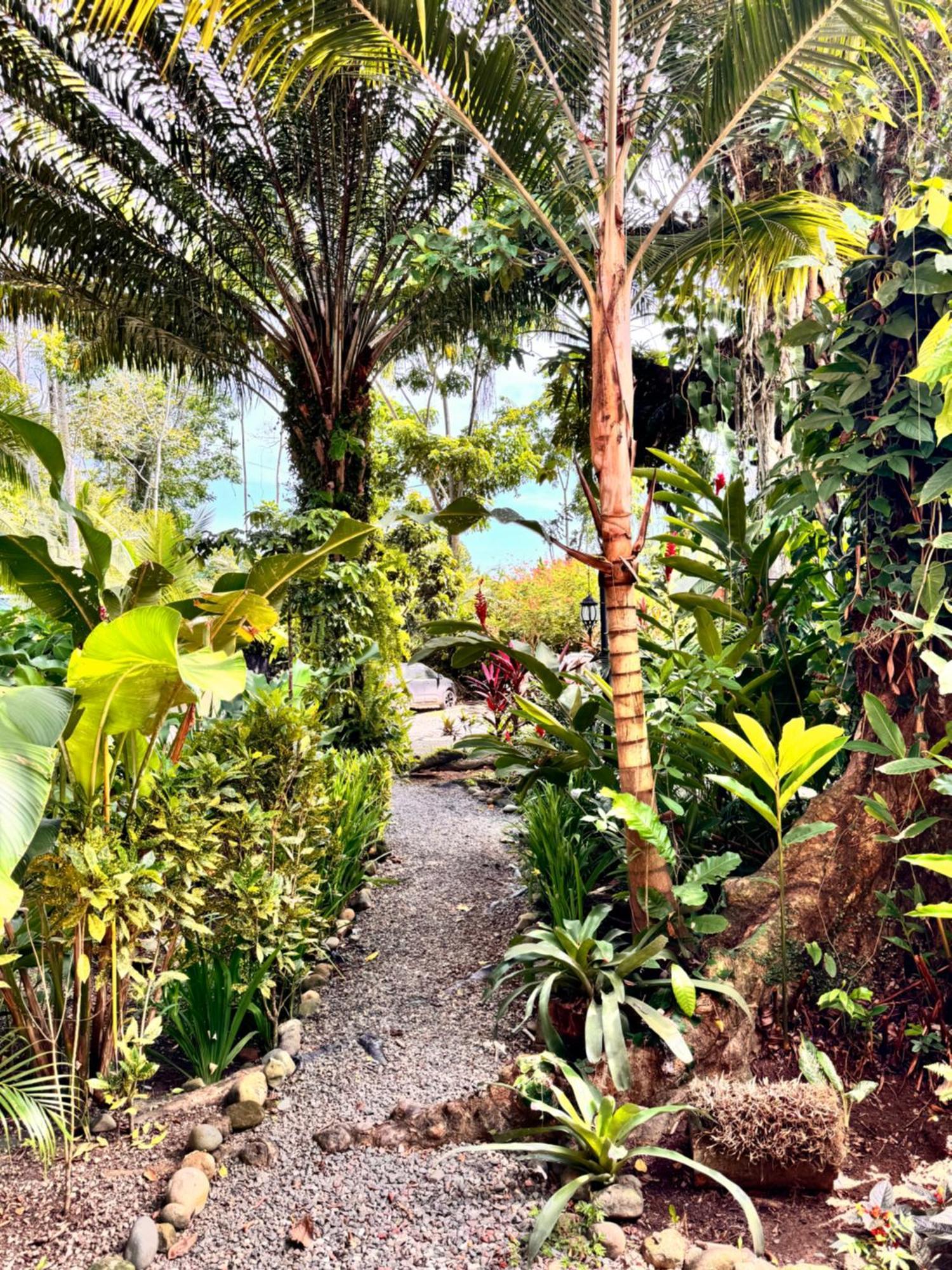 Chilamate Holiday House Puerto Viejo de Talamanca エクステリア 写真