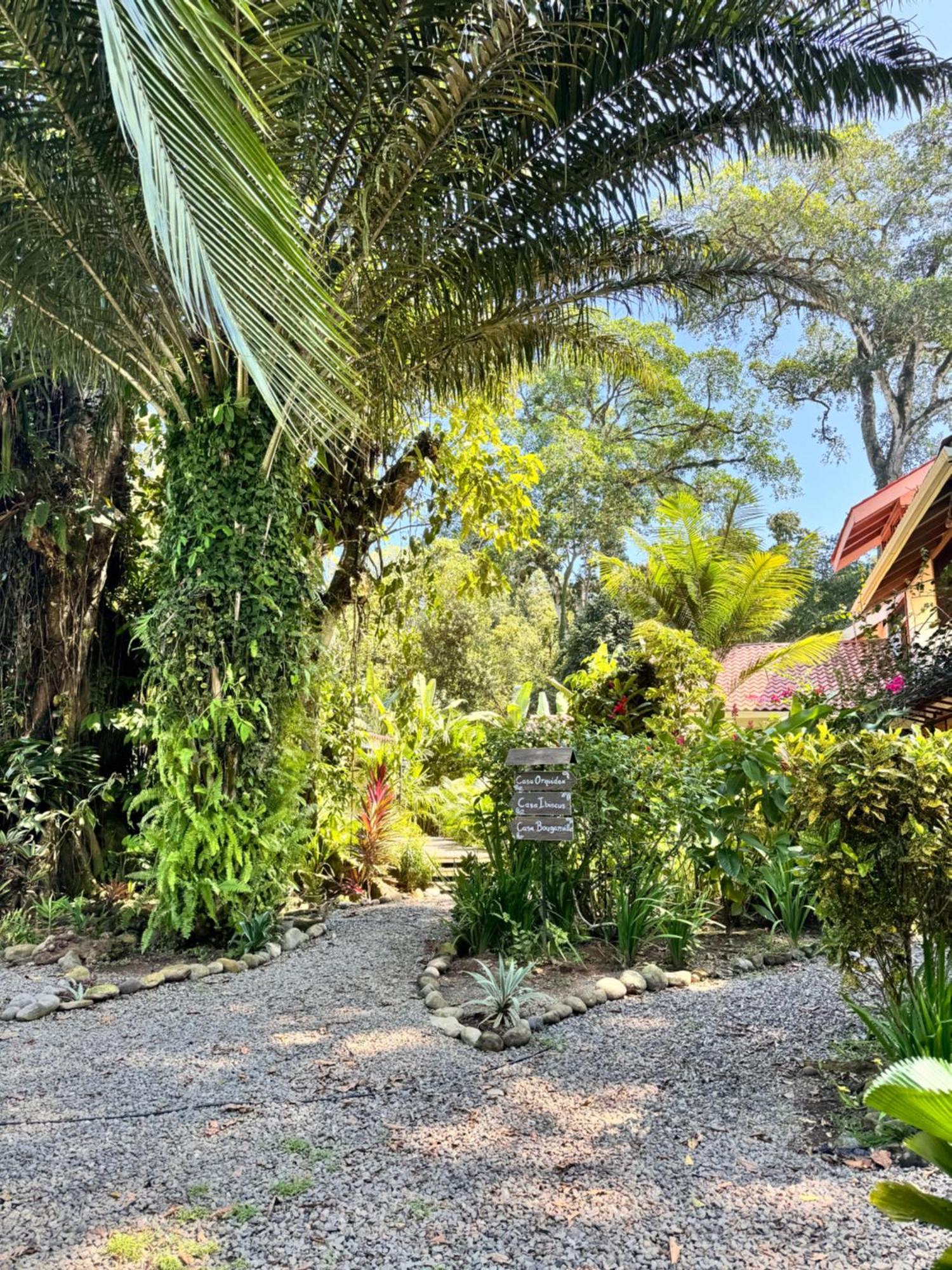 Chilamate Holiday House Puerto Viejo de Talamanca エクステリア 写真