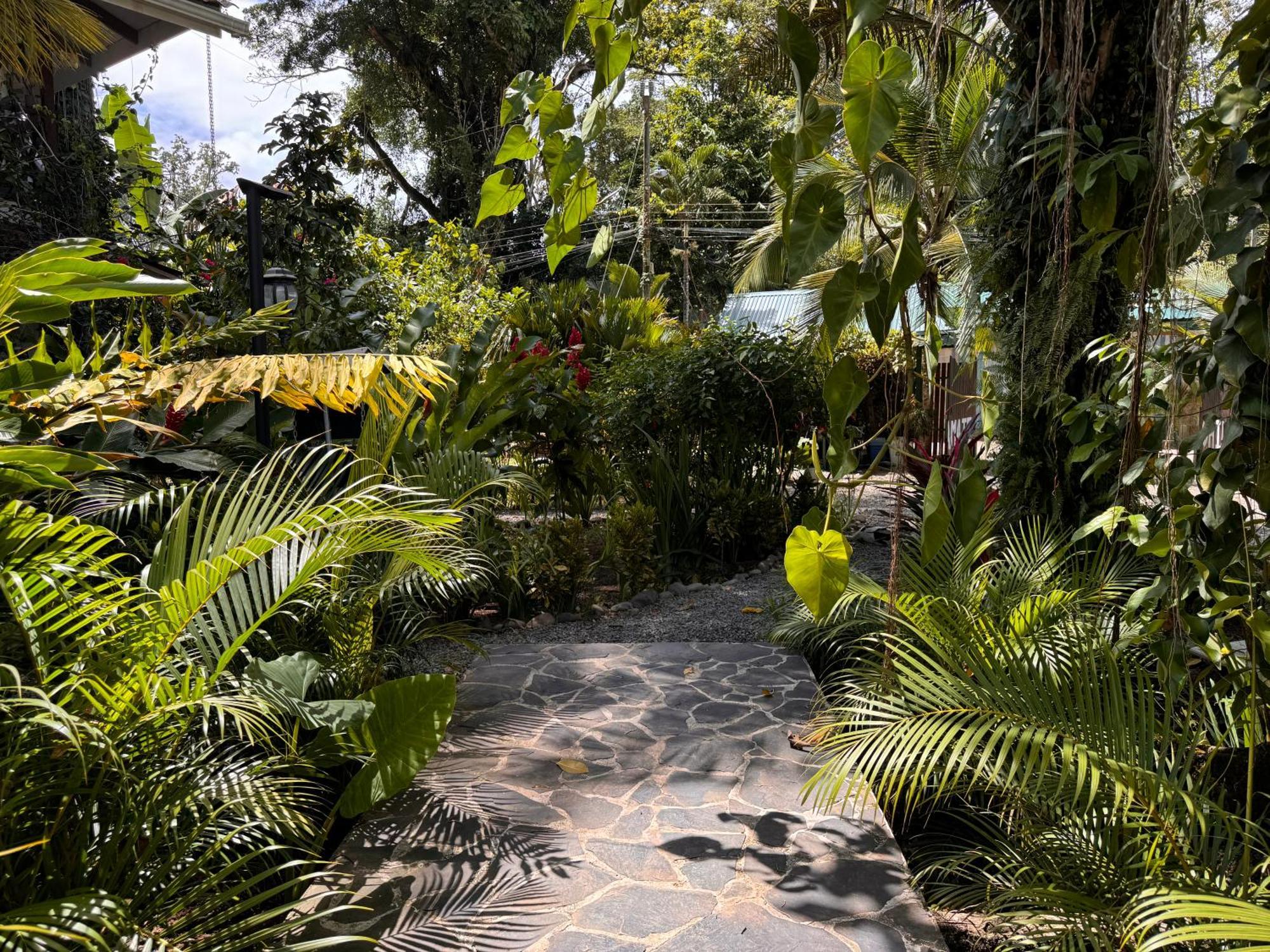 Chilamate Holiday House Puerto Viejo de Talamanca エクステリア 写真
