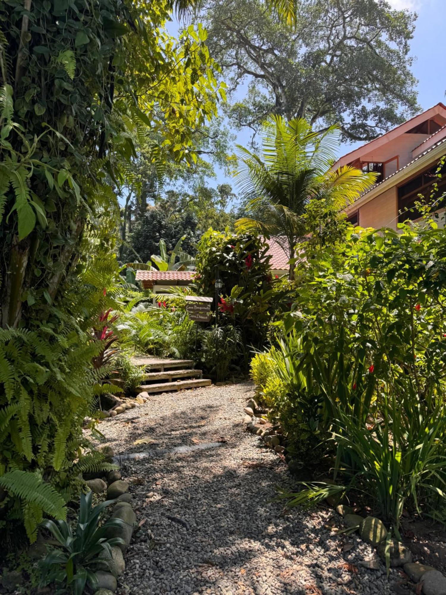 Chilamate Holiday House Puerto Viejo de Talamanca エクステリア 写真
